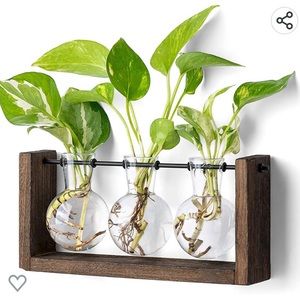 Mkono plant terrarium
